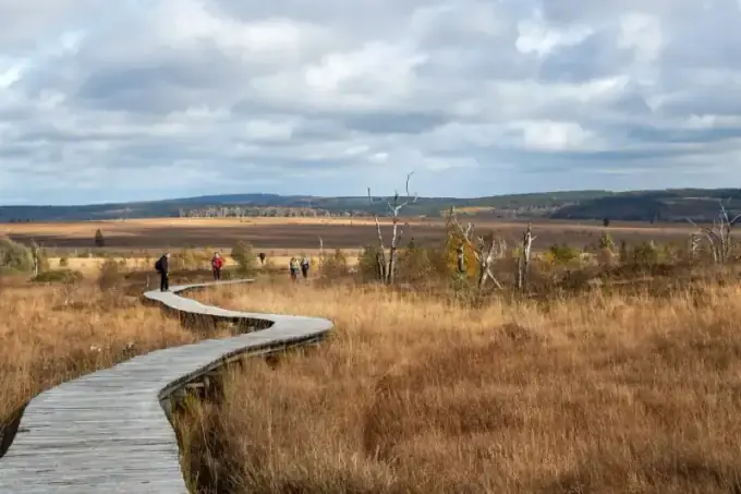 Hautes Fagnes