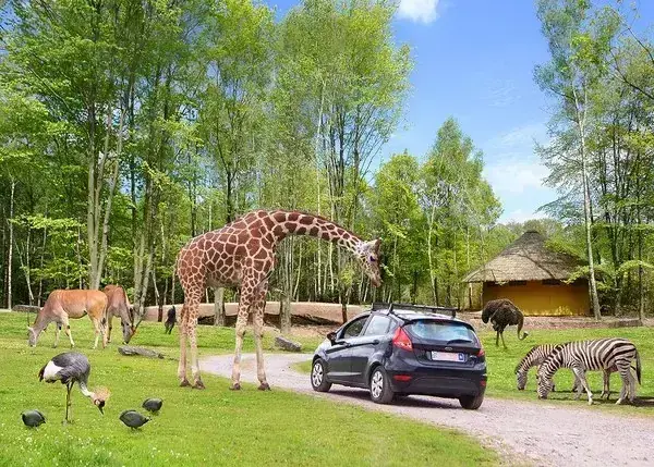 Parc Animalier du Monde Sauvage